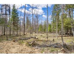 621 North Shore Rd Road, Lanark Highlands, ON K0G1M0 Photo 13