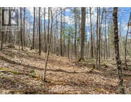 621 North Shore Rd Road, Lanark Highlands, ON K0G1M0 Photo 14