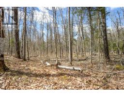 621 North Shore Rd Road, Lanark Highlands, ON K0G1M0 Photo 15