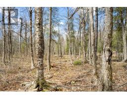 621 North Shore Rd Road, Lanark Highlands, ON K0G1M0 Photo 16