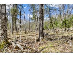 621 North Shore Rd Road, Lanark Highlands, ON K0G1M0 Photo 17