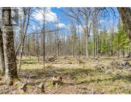 621 North Shore Rd Road, Lanark Highlands, ON K0G1M0 Photo 18