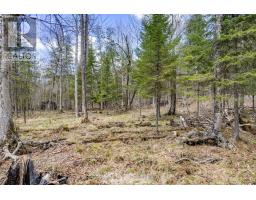 621 North Shore Rd Road, Lanark Highlands, ON K0G1M0 Photo 19