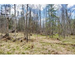 621 North Shore Rd Road, Lanark Highlands, ON K0G1M0 Photo 20