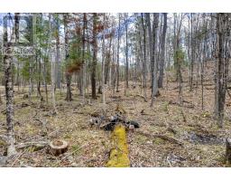 621 North Shore Rd Road, Lanark Highlands, ON K0G1M0 Photo 21
