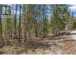 621 North Shore Rd Road, Lanark Highlands, ON K0G1M0 Photo 24