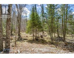 621 North Shore Rd Road, Lanark Highlands, ON K0G1M0 Photo 27