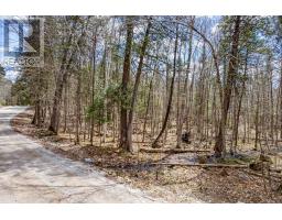 621 North Shore Rd Road, Lanark Highlands, ON K0G1M0 Photo 30