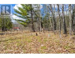 621 North Shore Rd Road, Lanark Highlands, ON K0G1M0 Photo 33