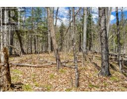 621 North Shore Rd Road, Lanark Highlands, ON K0G1M0 Photo 6
