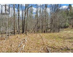 621 North Shore Rd Road, Lanark Highlands, ON K0G1M0 Photo 7