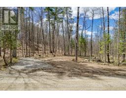 621 North Shore Rd Road, Lanark Highlands, ON K0G1M0 Photo 9