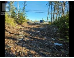 Port Latour Road, Port La Tour, NS B0W2T0 Photo 8