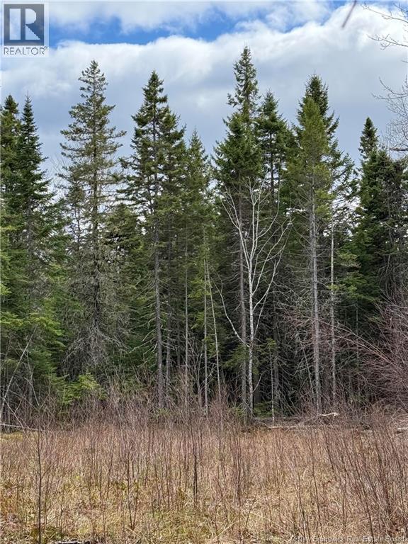 land Route 515, Saint-Paul — photo 2