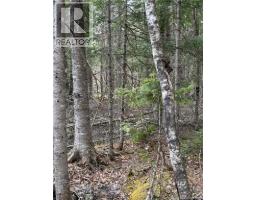 Land Route 515, Saint Paul, NB E4T3T5 Photo 6