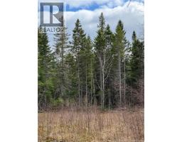Land Route 515, Saint Paul, NB E4T3T5 Photo 7
