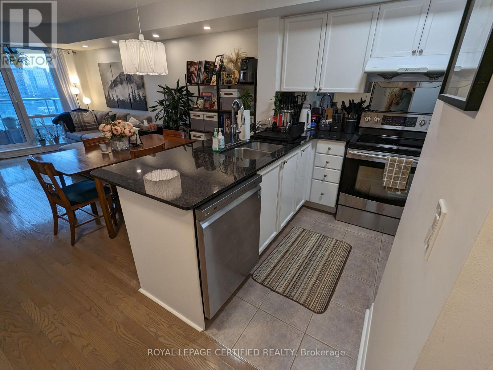 #1410 1 ELM DRIVE W - 11