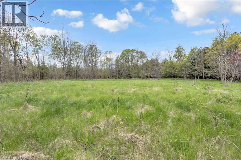 10 BURNSIDE Drive, Glen Morris, Ontario, N0B1W0 — Photo 40