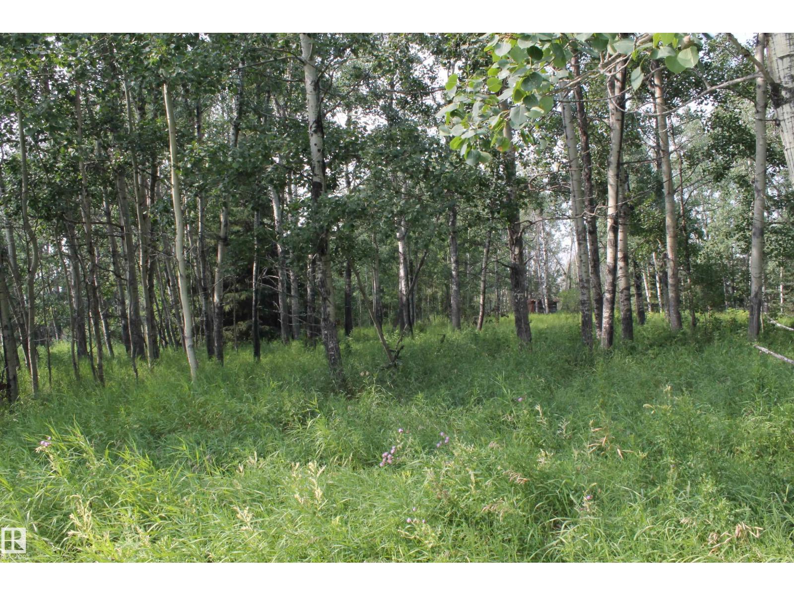 6021 TWP ROAD 571 — photo 10