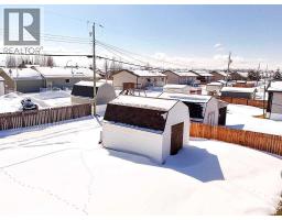10705 101 Avenue, La Crete, AB T0H2H0 Photo 38