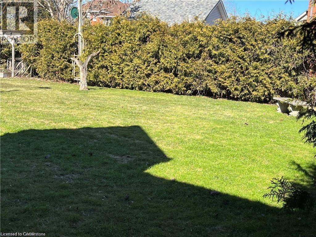 Great development potential