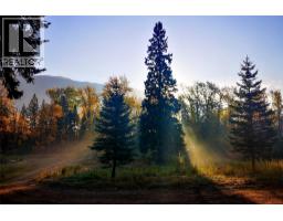 6179 Kubinec Road, Fernie, BC V0B1M1 Photo 60