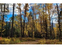 6179 Kubinec Road, Fernie, BC V0B1M1 Photo 33