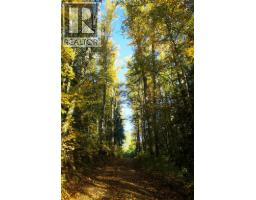 6179 Kubinec Road, Fernie, BC V0B1M1 Photo 58