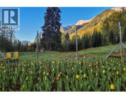 6179 Kubinec Road, Fernie, BC V0B1M1 Photo 61