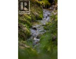 6179 Kubinec Road, Fernie, BC V0B1M1 Photo 78
