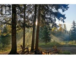 6179 Kubinec Road, Fernie, BC V0B1M1 Photo 59