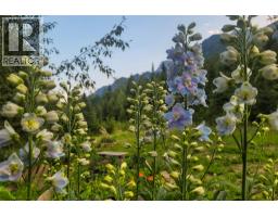 6179 Kubinec Road, Fernie, BC V0B1M1 Photo 63