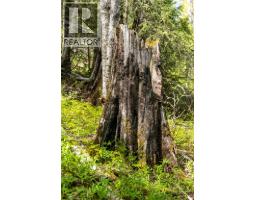 6179 Kubinec Road, Fernie, BC V0B1M1 Photo 80