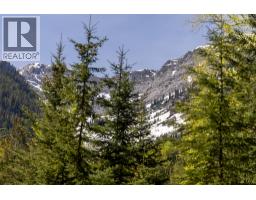 6179 Kubinec Road, Fernie, BC V0B1M1 Photo 34