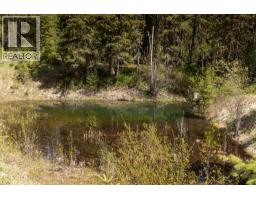 6179 Kubinec Road, Fernie, BC V0B1M1 Photo 71