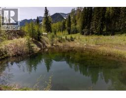 6179 Kubinec Road, Fernie, BC V0B1M1 Photo 70