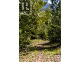 6179 Kubinec Road, Fernie, BC V0B1M1 Photo 35