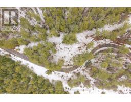 1000 Alpine Ranch Road, Bracebridge, ON P1L1W9 Photo 28