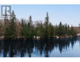 1000 Alpine Ranch Road, Bracebridge, ON P1L1W9 Photo 8