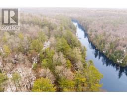 1000 Alpine Ranch Road, Bracebridge, ON P1L1W9 Photo 12