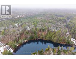 1000 Alpine Ranch Road, Bracebridge, ON P1L1W9 Photo 17