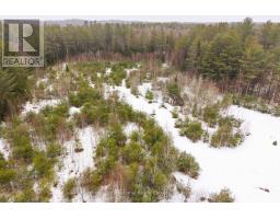 1000 Alpine Ranch Road, Bracebridge, ON P1L1W9 Photo 26