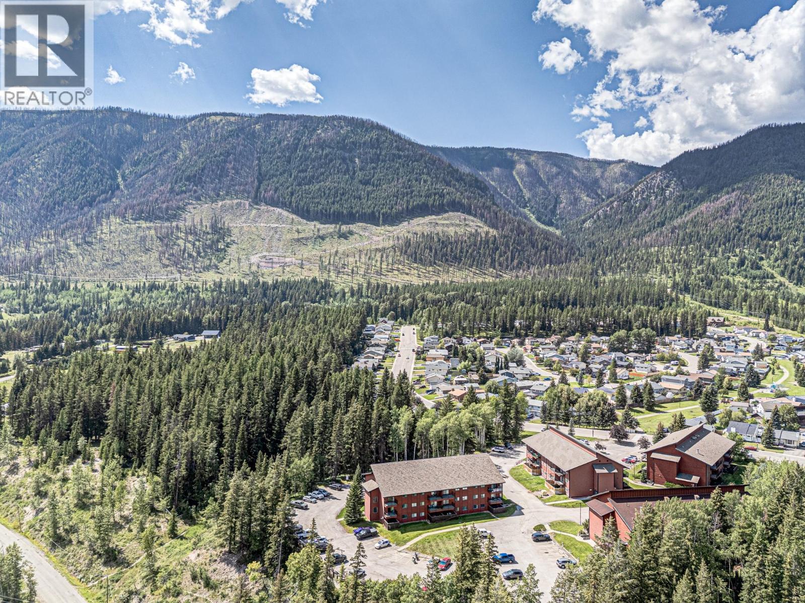 1286 Ponderosa Drive Unit# 403, Sparwood