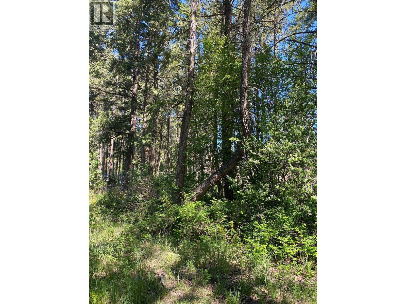 867 Balsam Road, Kelowna