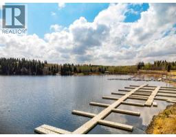 4017, 25054 South Pine Lake Road, Rural Red Deer County, AB T0M1R0 Photo 14