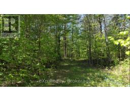 26 Magnet Road, Magnetawan, ON P0A1P0 Photo 7