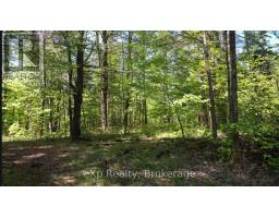 26 Magnet Road, Magnetawan, ON P0A1P0 Photo 8