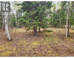 #5 Lookout Road, Northern Admin District, SK S0P0A0 Photo 27