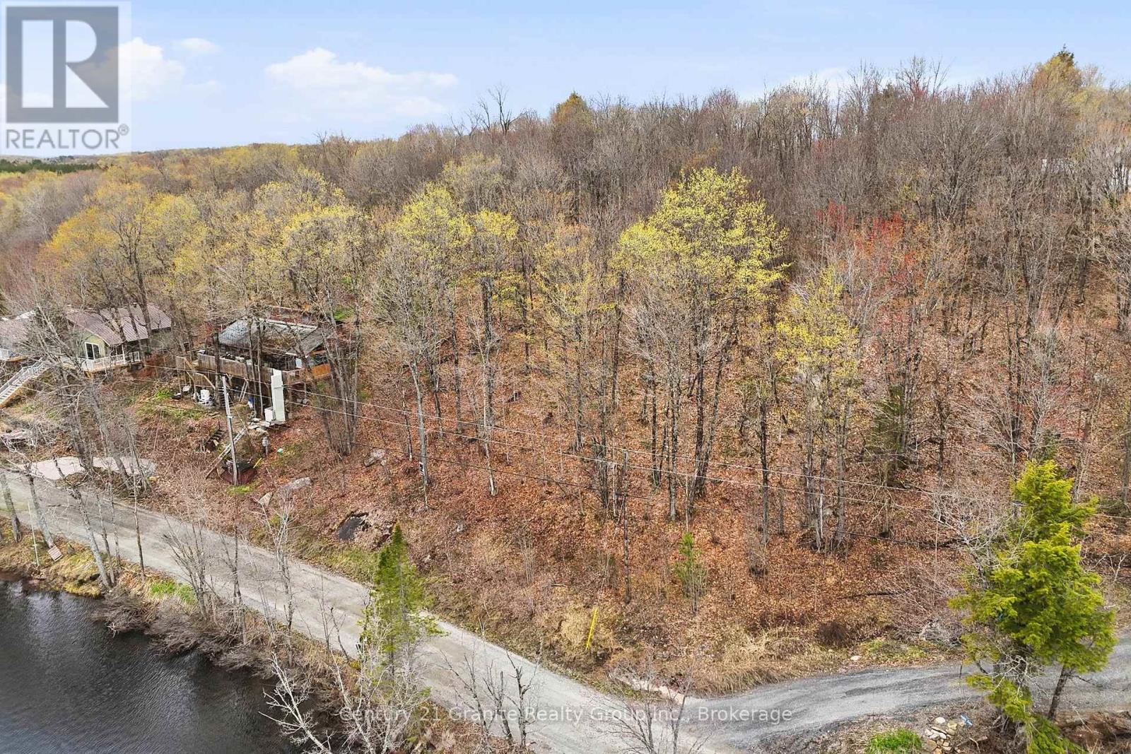 Pt Lt 6 Brady Lake Road — photo 21