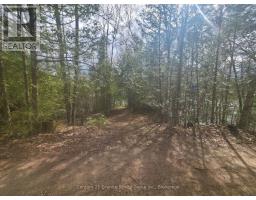1325 Andek Trail, Highlands East, ON K0M2A0 Photo 19